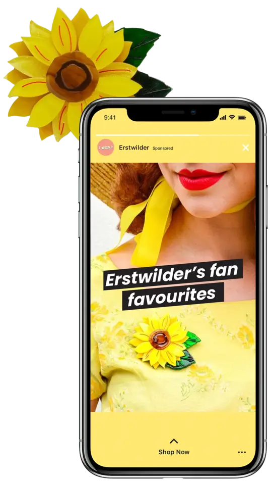 Erstwilder Instargam Stories Ads preview