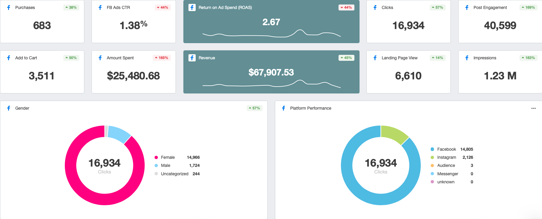 Live Report Dashboard - Rankuvo-X Digital